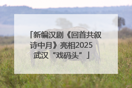 新编汉剧《回首共叙诗中月》亮相2025武汉“戏码头”